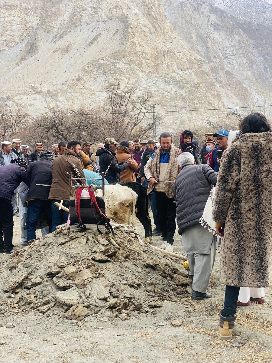 Azimakhan13's tweet photo. SHOGUN BAHOR MUBORAK❤️🌸

The celebration of Tagam, a sacred day that marks the beginning of farming activities. https://t.co/WZLadaukdI