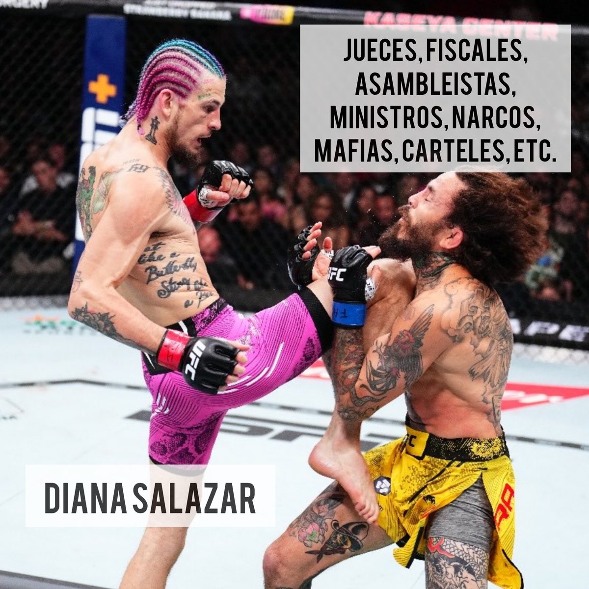 #ChitoVera #UFC299 #Quaker #EcuadorSinCorrupción #DianaSalazar #Metastasis #Purga