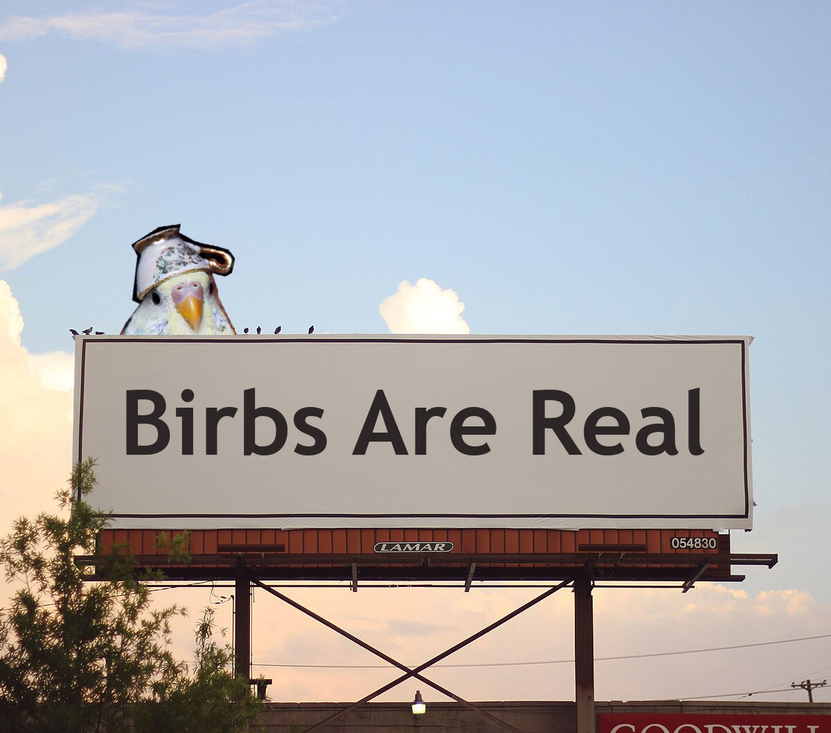 birbstogether's tweet image. birb has hopped onto the @JupiterExchange strict list! huge thank you to all the birbs that made this happen. Now all of our little peeps have confidence they are joining the best flock in crypto!