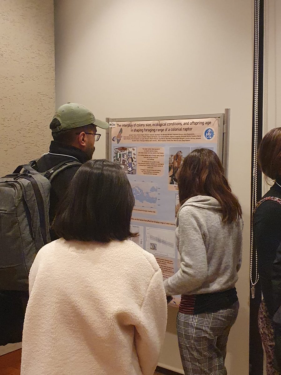 How the foraging range of a colonial #raptor is shaped by colony size and other factors? LIFE FALKON at the International Biologging Society Conference in #Tokio @bls8tokio2024 #AfterLife @LIFEprogramme