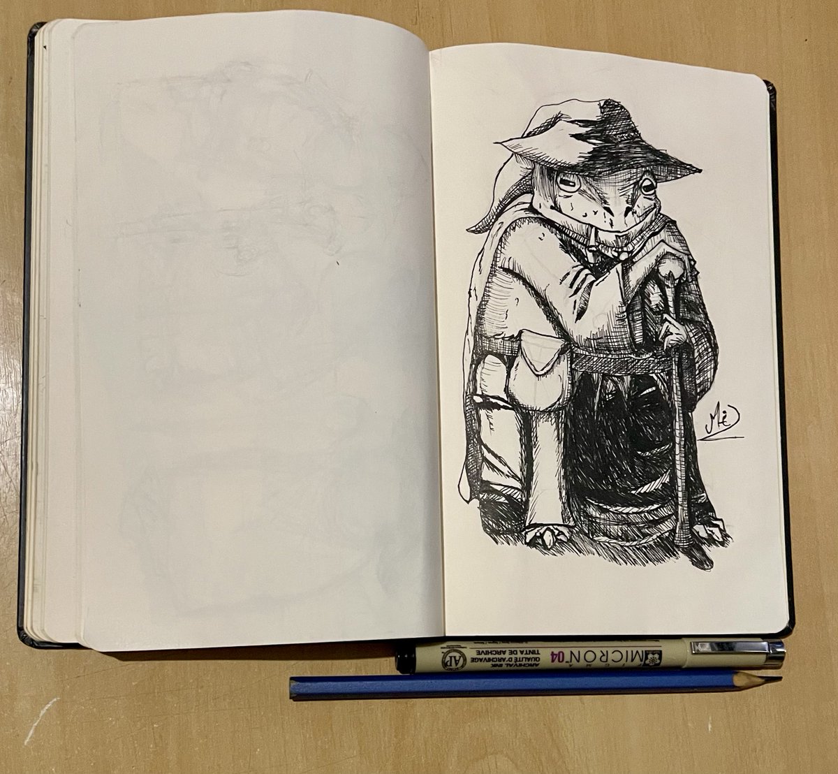 im_mhid's tweet image. #frogwizard #wizardfrog