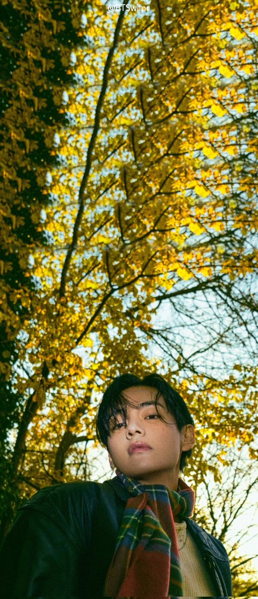 Btswall1206's tweet photo. V'FRI(END)'S Concept Photo 2 (+)

#BTSV #taetae #KimTaehyung #taehyungbear #TAEHYUNGFRIENDS  #BTSWALLPAPER #fypageシ #fypシ゚ https://t.co/Kr8eD1WIb0