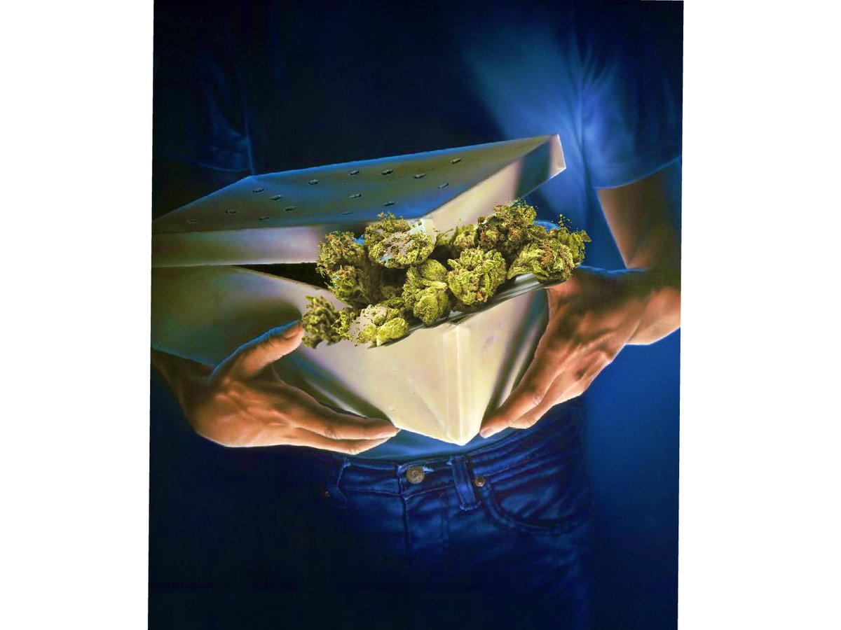 JoeFielding's tweet image. #humor #GotWeed #Gremlins  The Movie is Called: Let’s Burn, Staring Sir Tokes a Lot!!!