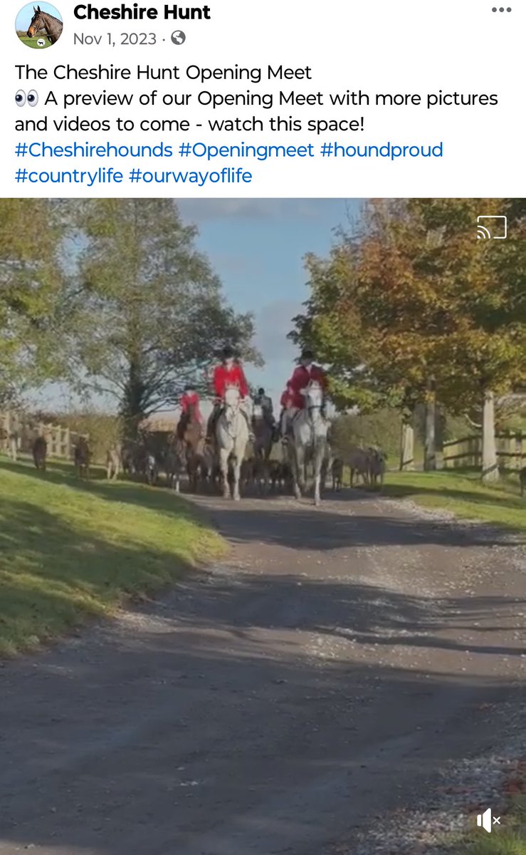 September? Funny that, because opening meet is much later than September! 
Could they be talking about 'trail' hunting's dirty little secret? CUBBING!
Where riders scare fox cubs to prevent their escape from coverts and copses where they cast their hounds 
#cubbing #trailhuntlies