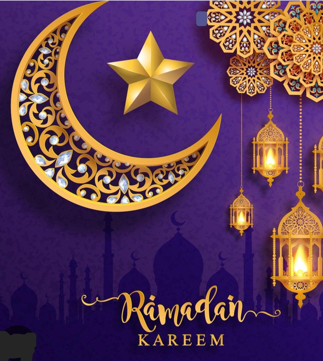 Wishing all members of the Cougar family a Ramadan Kareem! May Ramadan bring you and your family an abundance of blessings @BrooklynSouthHS @pretto_david @NYCSchools @NYPD66Pct