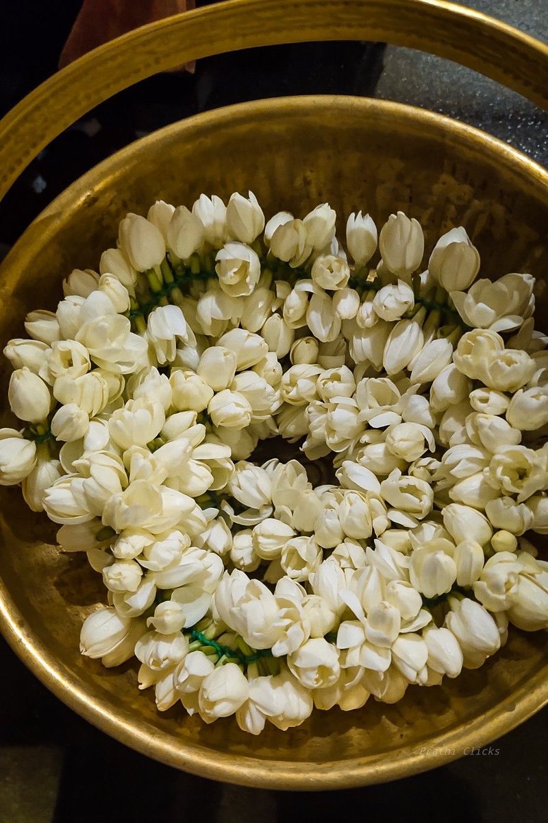 hellokirthy's tweet image. Mallipoo🤍