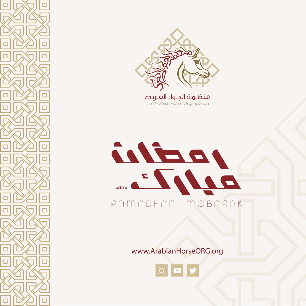منظمة الجواد العربي (@arabianhorseorg) on Twitter photo 