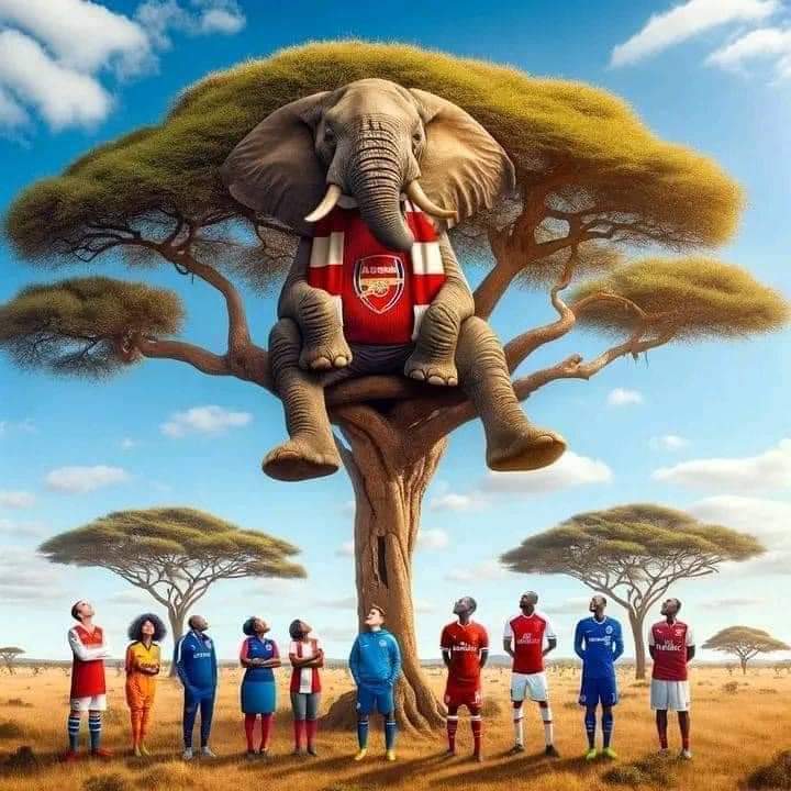 Kati binno ebivummo bokutyobolwa kwa week numba yarabi mukama omuntu anabulwa wanywa olwendo lwa mazzi <a href="/peaceBagala/">Diane Peace</a> <a href="/JoSsegawa/">#JohnSegawaArts🇺🇬</a> <a href="/Kasuku256/">KASUKU</a> <a href="/DavidLumansi/">David Lumansi</a>