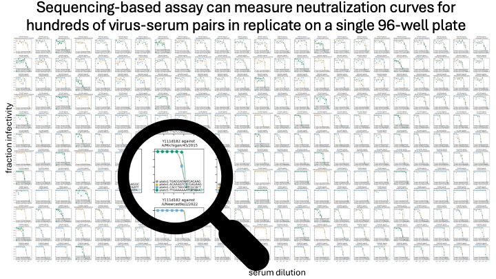 In new study led by Andrea Loes, we develop sequencing-based neutralization assay that measures replicate curves for hundreds of virus-serum pairs per 96-well plate (see image below) biorxiv.org/content/10.110… We apply assay to characterize response to repeat influenza vaccination