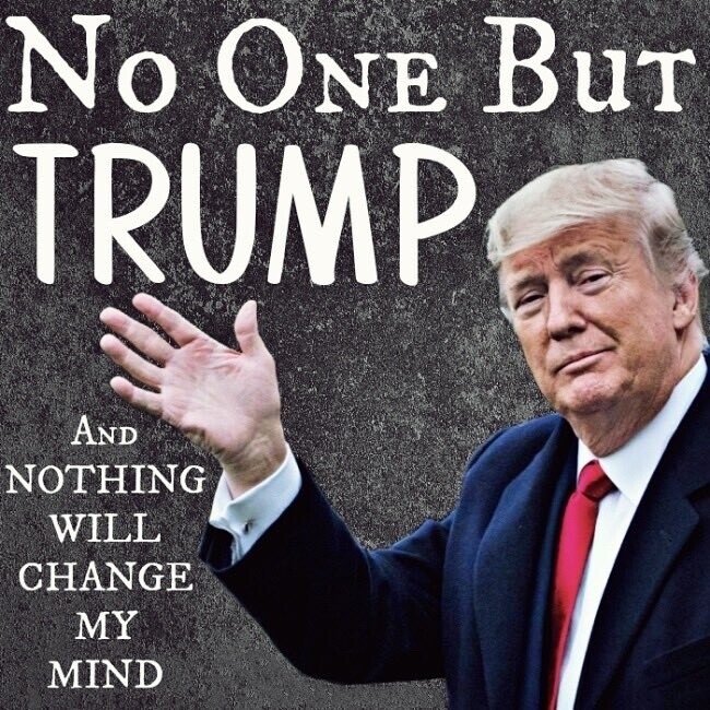 RobynDODonnell's tweet photo. Now that Super Tuesday is over and all the ridiculousness of the Republican Primaries are over (keebler elves) is all I will ever think about when anyone talks about the Republican Primary of 2023! What a joke it all was and the stupid extremely stupid #PrimaryDebates what a waste of time and money by #RNC!
It is so obvious for people to see there is no way #JoeBiden received 81 million legal votes even for those who are too ignorant to admit they were wrong!
Daily, more is exposed about #2020StolenElection and #J6Fedsurrection and more will continue to be revealed.
Why am I stating this and boring you because #commonsense and #Truth will always win over #lies and #corruption.
As long as this momentum continues and people do not get complacent America is rising like a rocket ship to #trump2024win! Never take anything for granted but the enthusiasm is off the charts to the haters from #2016 and #2020 it's over!