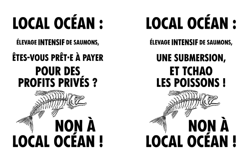 attac_opale's tweet image. Réunion publique le jeudi 14 mars à 18h, salle Philippe Noiret, 32 rue Gournay Hédouin, Le Portel. 
Un projet de ferme-usine géante de saumons, porté par la société Local Océan, menace la plage et les activités touristiques du Boulonnais... @attac_fr #Hautsdefrance
@NordPdc