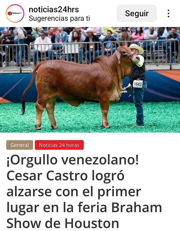 PepitaMontero's tweet photo. #CesarCastro
Gente rural de la #VenezuelaPosible 🇻🇪
Noticias que divulgar, multiplicar, hechos, gestiones agro-productoras que apuntalar, favorecer, mostrar porque es logro de venezolanos.
@campocafeciudad @fegalago @AndresKowalski @visionagro @larryleonm @Confagan @MAT_Zulia https://t.co/gGHLxNfrCt