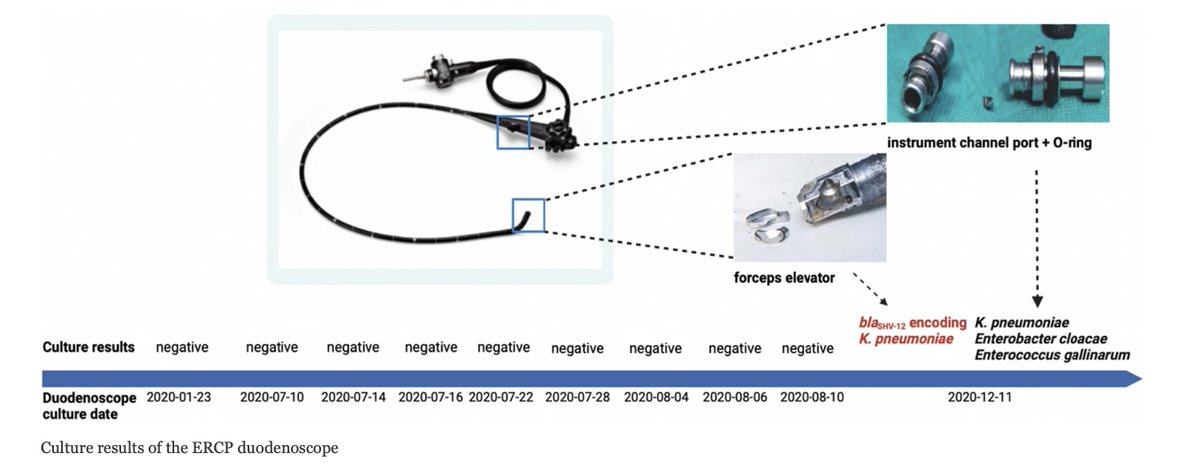 Cansu Cimen tweet media