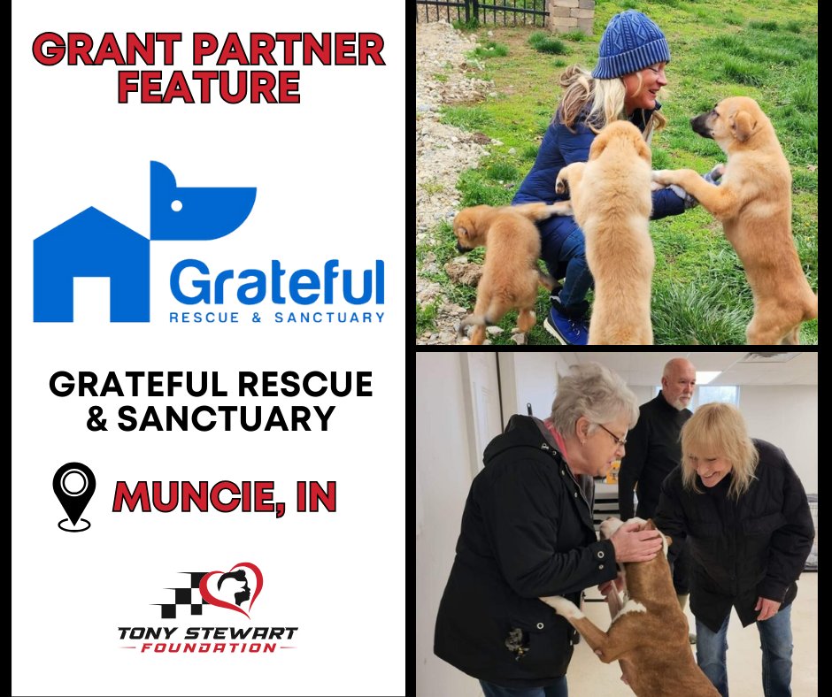 2024 Grant Partner Feature: Grateful Rescue & Sanctuary, Muncie, IN @GratefulRescue They help save the lives of all animals that find their way to the sanctuary and provide care for unwanted or homeless animals. The Tony Stewart Foundation is thankful to support their work!