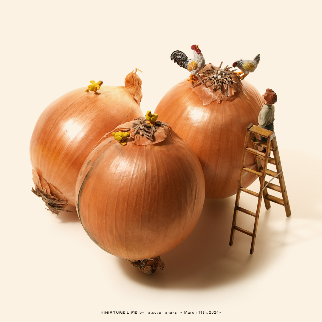 「卵(たま)ねぎ 」|Tatsuya Tanaka 田中達也のイラスト