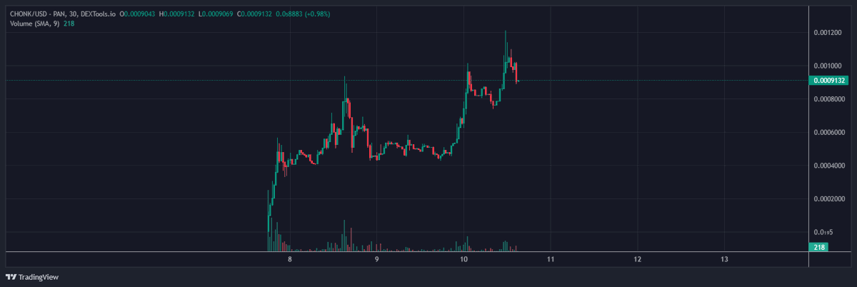 $CHONK is eating the sellers. New ATH day by day.

No CMC, No CG yet. We have so much planned

CHONK is the BONK on $BNB