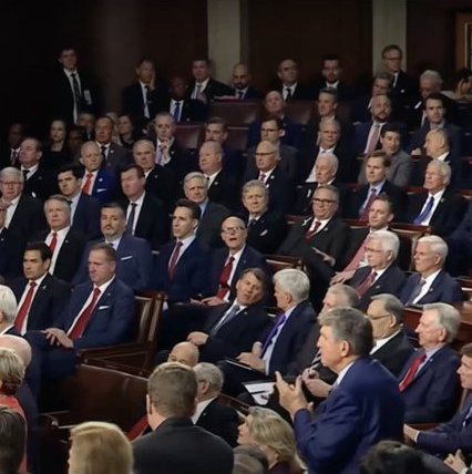 Watching the Republicans at the SOTU address, I was struck by many things like:  look at all these old white men trying to force a multi-racial, diverse America, of all ages into their narrow Christian Nationalist conservative veiw. A group of old white men all dressed in blue