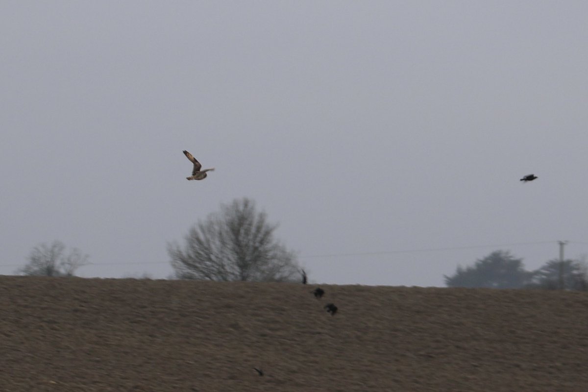 John McNally tweet media