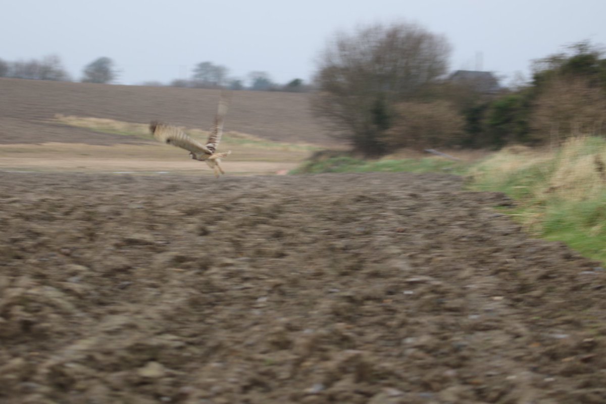 John McNally tweet media