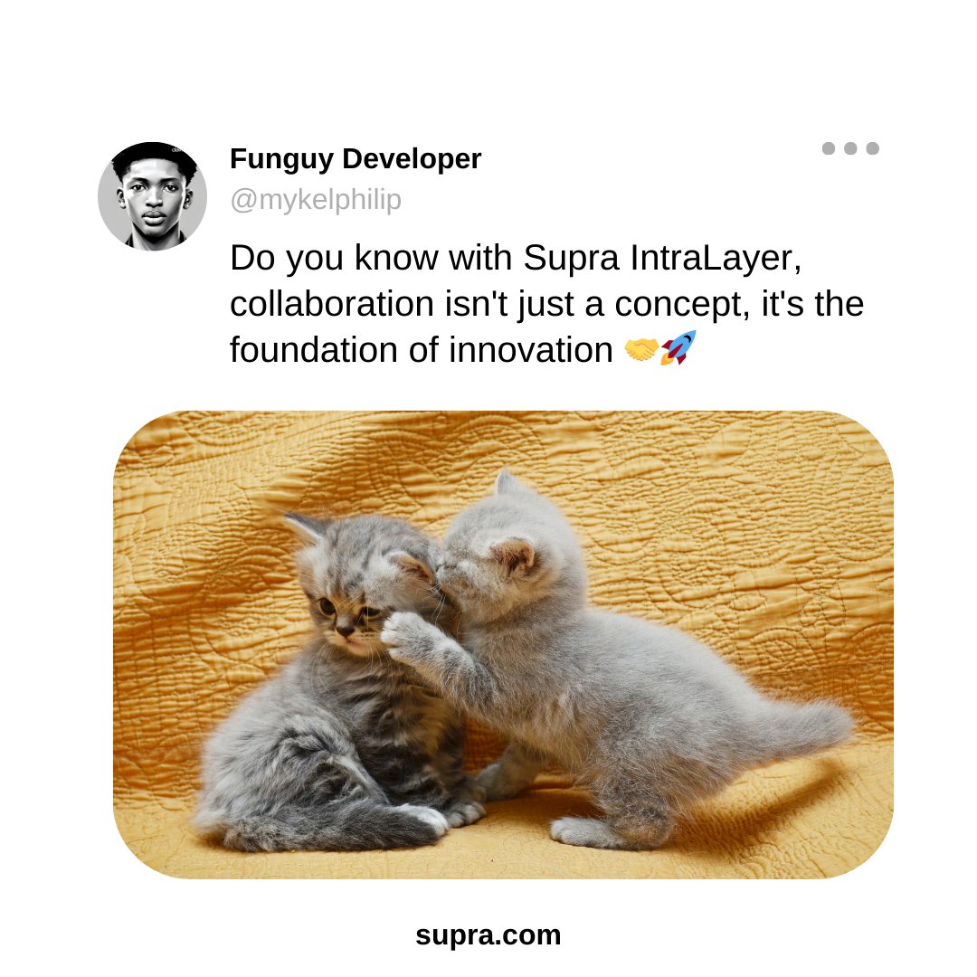 mykelphilip's tweet photo. When your friend introduces you to Supra Intralayer
Read More >>> https://t.co/JG6QHVDNmH
#supra #CryptoCommunity #intralayer #Web3 https://t.co/oygtgGXGTi