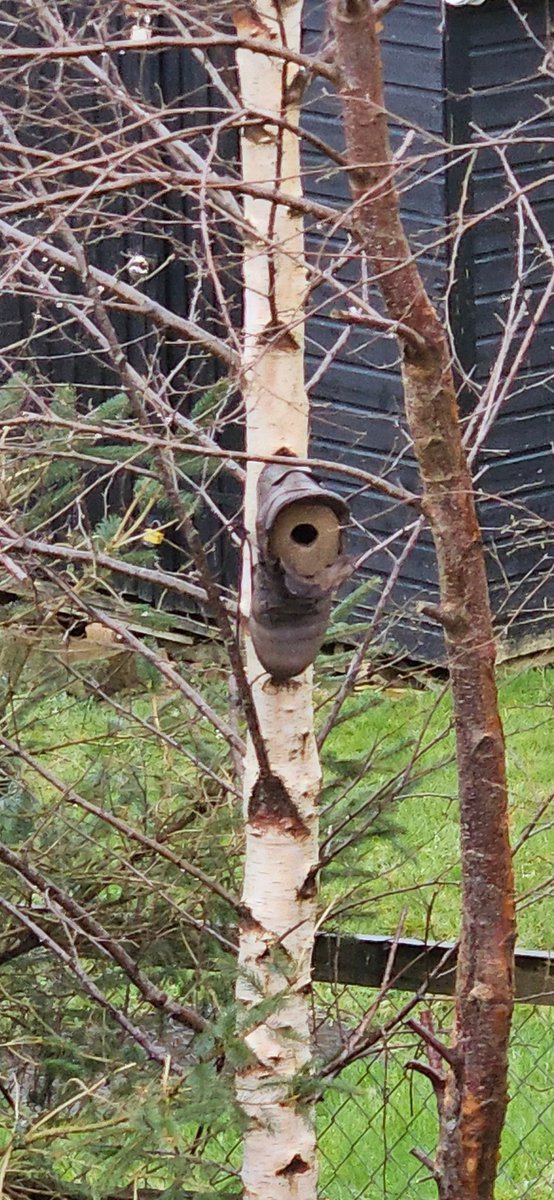 Boot bird nests... i converted 6 today and popped them around the garden. They even have a landing platform.😋