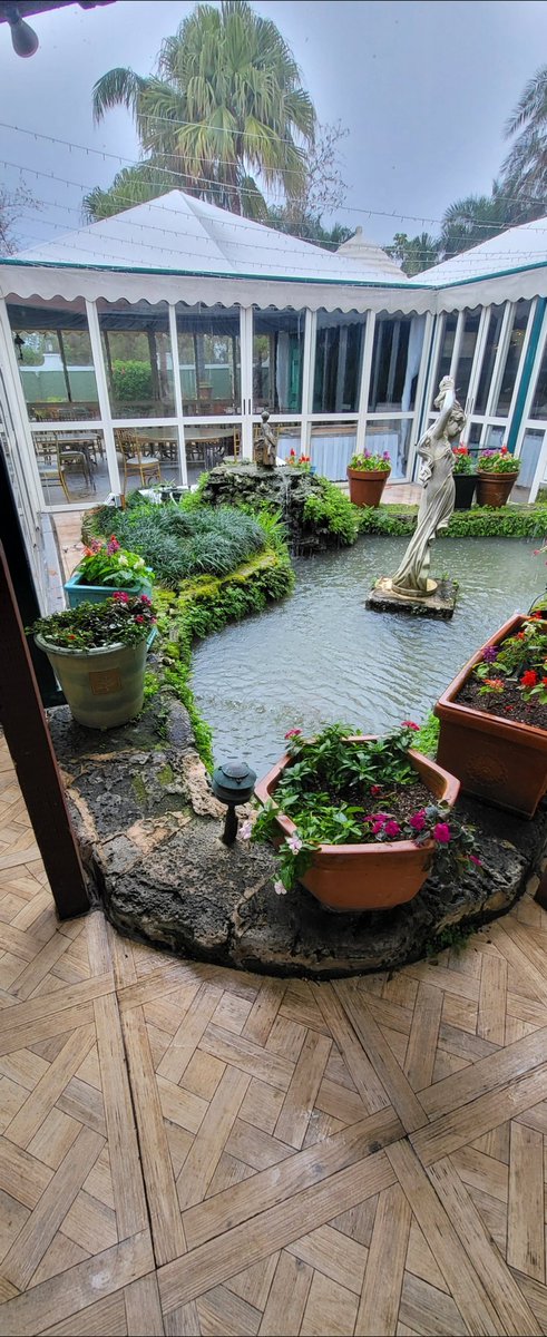 bonesinbermuda's tweet photo. Do you recognize this green pond?
Now have a look! 
My Japanese Bonsai garden re-design at Four Ways Restaurant.  Come and have a look today at brunch. 
This is a preview to the Garden Design opening on the 24th March. bonsaigardendesign@gmail.com https://t.co/gsmzLfKNT0