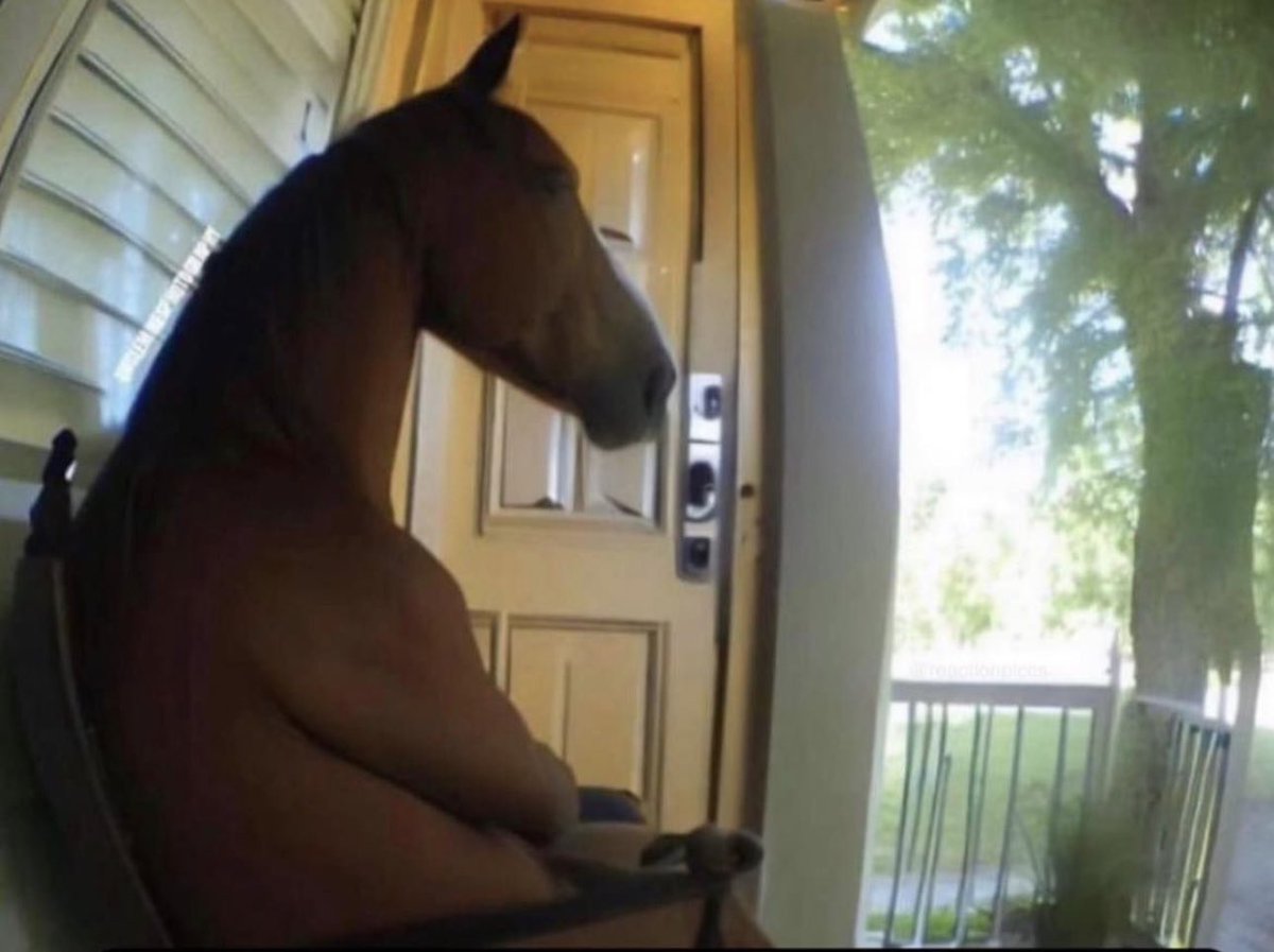 Fatal Thieves tweet media