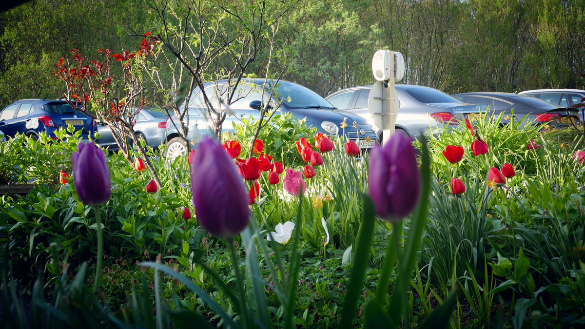 West Point House tweet media