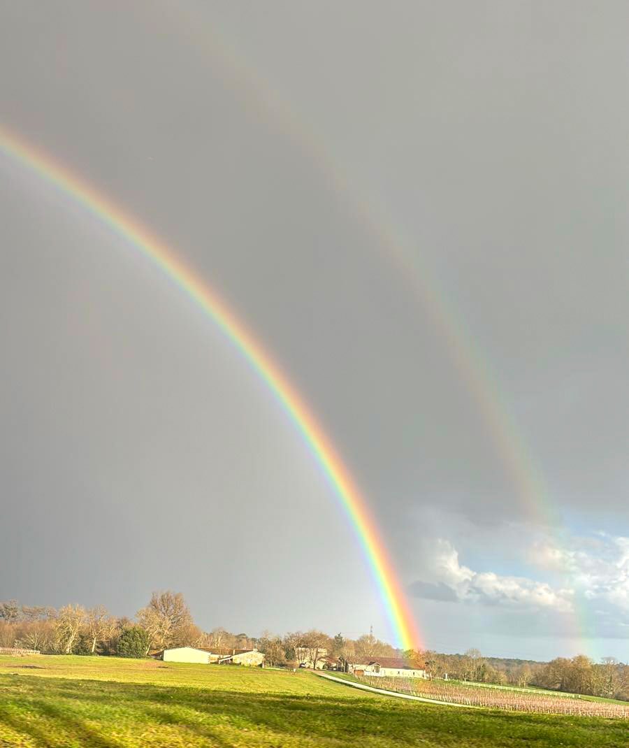 Double rainbow day 🌈🌈🍷

#rainbow #vineyardlifestyle #vineyard #vineyards #meaumemoments #lifestyle #winerylovers #winery #wine #winelovers #winecountry #vino #bordeaux #wein #chateaulife #winelife #bordeauxvineyard #winelover #winetasting #bordeauxwine #vineyardviews m