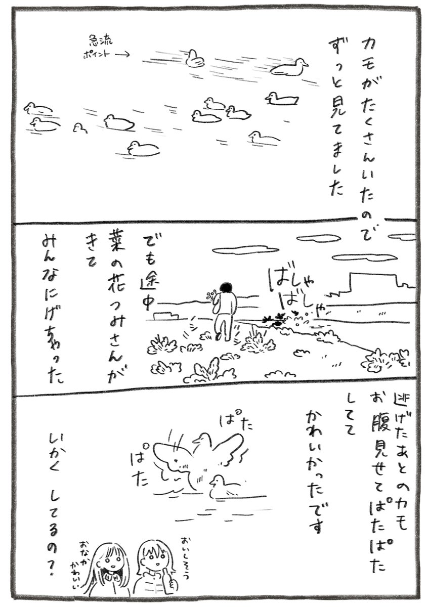 川とカモと椅子、いいトリオです

#イスに座る人 