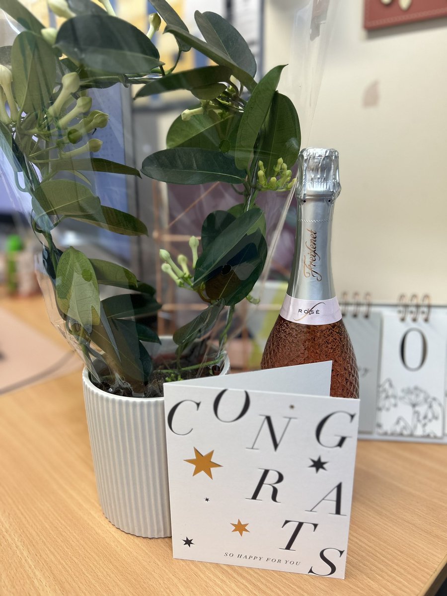 Andrea Lee tweet media