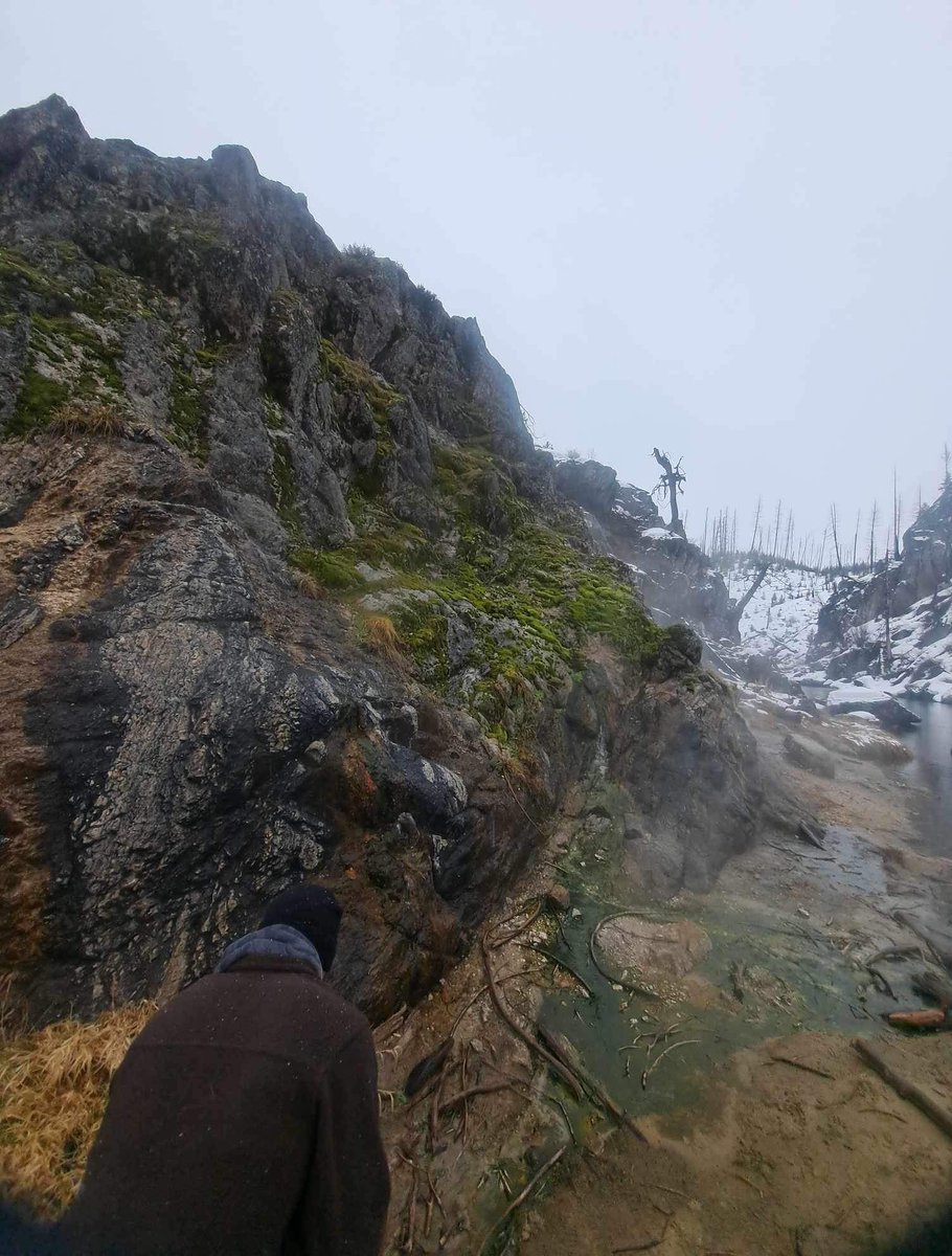 YellowPineIdaho's tweet photo. Hot springs, somewhat hidden. https://t.co/M2oooW39OB