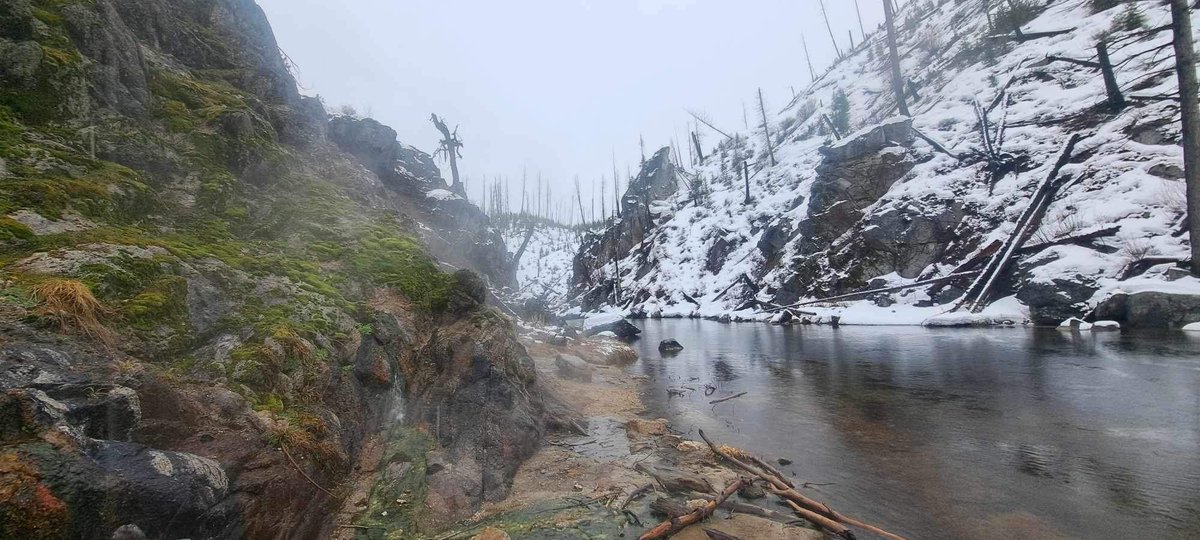 YellowPineIdaho's tweet photo. Hot springs, somewhat hidden. https://t.co/M2oooW39OB
