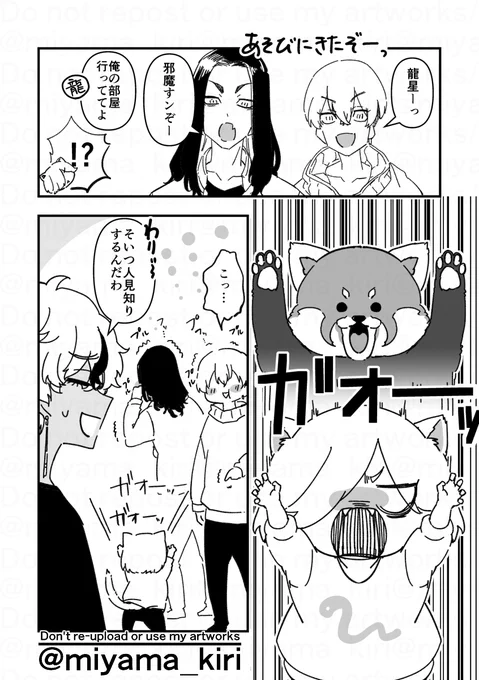 威嚇がレッサーパンダのヌコジロちゃんとが☆のとこに遊びに来たよ 