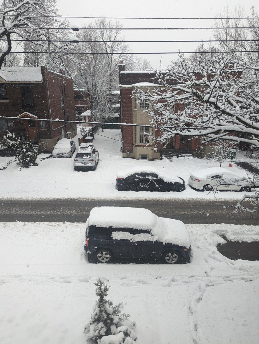 gabord13's tweet photo. @Hera_Aoe meanwhile in Montréal :D https://t.co/MflVRJf8YF
