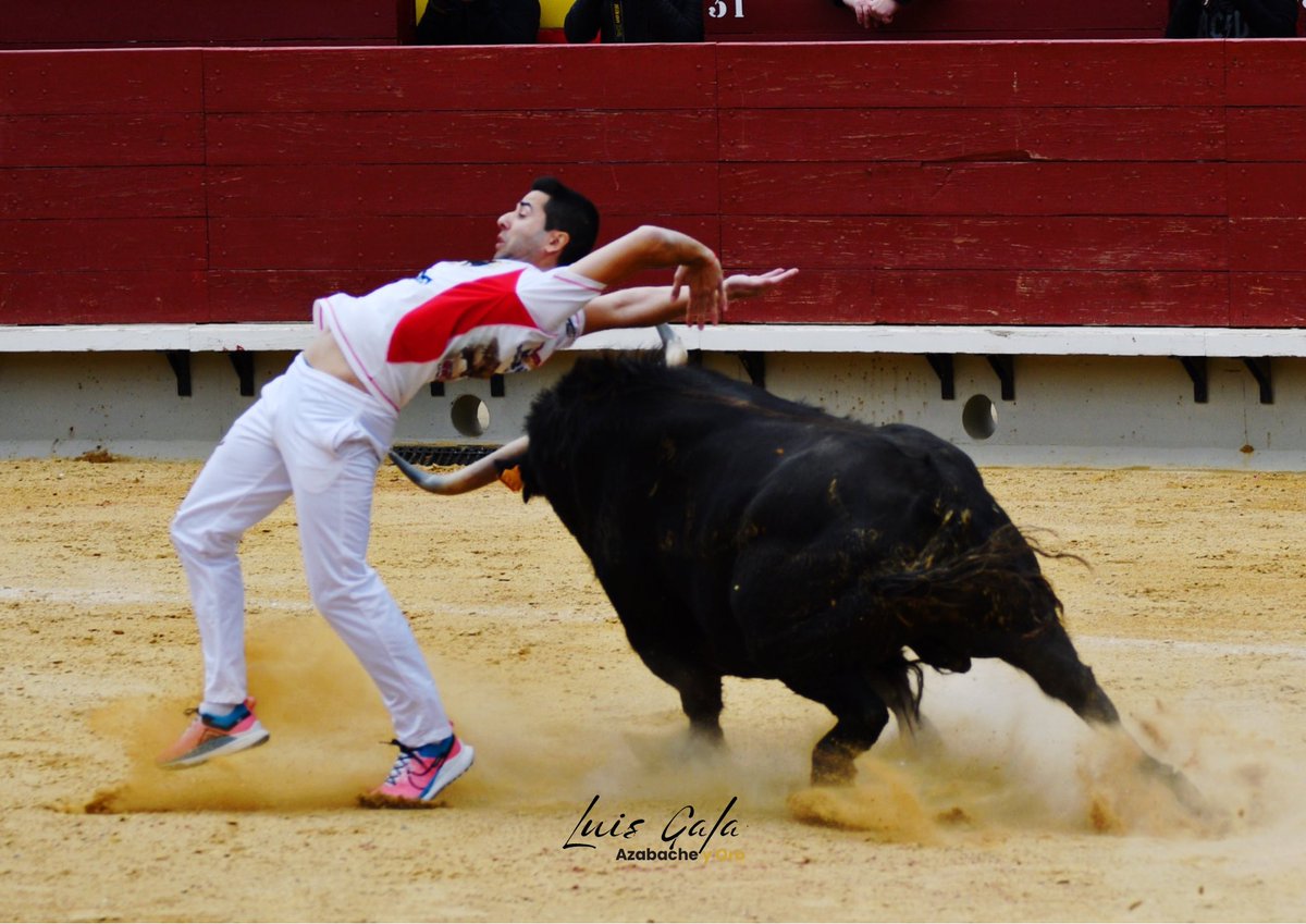 Noel Ribera, campeón del concurso nacional de recortadores en Castellón. 

@toropasion 

#Castellón #FestejoPopular #FotografíaTaurina #LuisGFotografíaTaurina