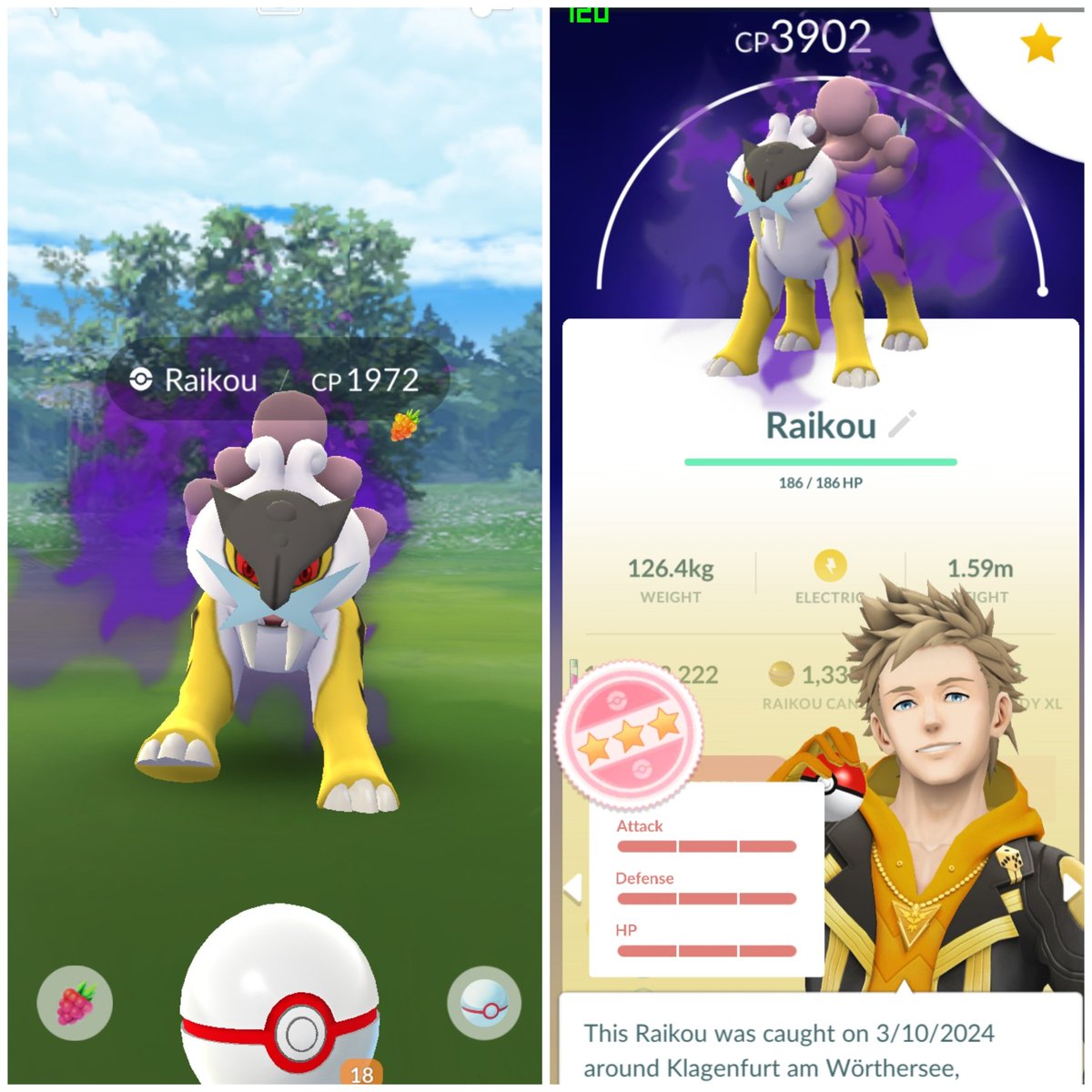 💯😈 Hundo Shadow Raikou 🥰🥰🥰