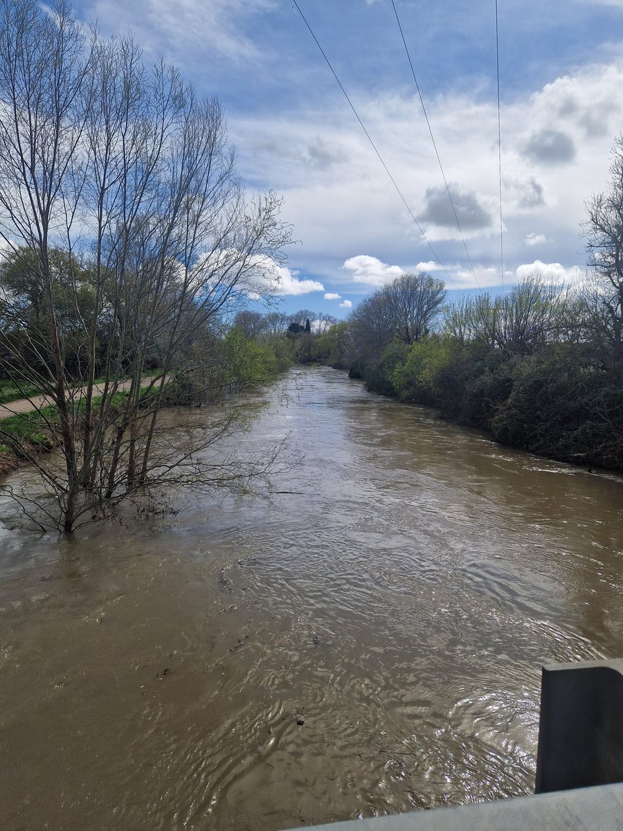 AdrienFour's tweet photo. Après les #pluies de ce samedi, les éclaircies sont de retour mais le #Vistre est en #crue et continue de monter bien que le niveau tend à se stabiliser comme ici entre
#Vauvert et le #Cailar (#Gard). Des débordements très localisés restent possibles loc. ces prochaines heures. https://t.co/4EF16uLThi