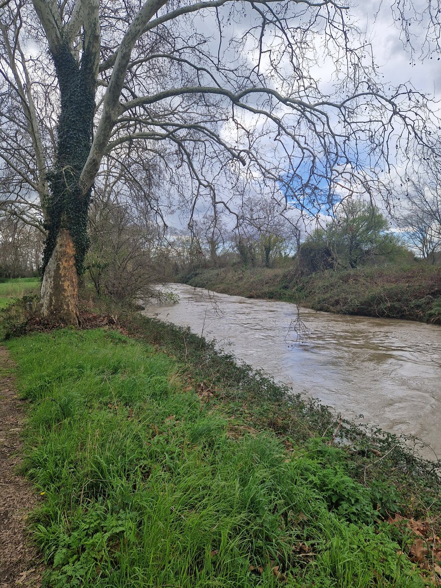 AdrienFour's tweet photo. Après les #pluies de ce samedi, les éclaircies sont de retour mais le #Vistre est en #crue et continue de monter bien que le niveau tend à se stabiliser comme ici entre
#Vauvert et le #Cailar (#Gard). Des débordements très localisés restent possibles loc. ces prochaines heures. https://t.co/4EF16uLThi