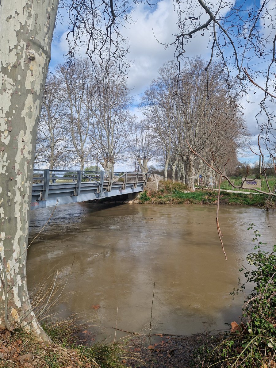 AdrienFour's tweet photo. Après les #pluies de ce samedi, les éclaircies sont de retour mais le #Vistre est en #crue et continue de monter bien que le niveau tend à se stabiliser comme ici entre
#Vauvert et le #Cailar (#Gard). Des débordements très localisés restent possibles loc. ces prochaines heures. https://t.co/4EF16uLThi