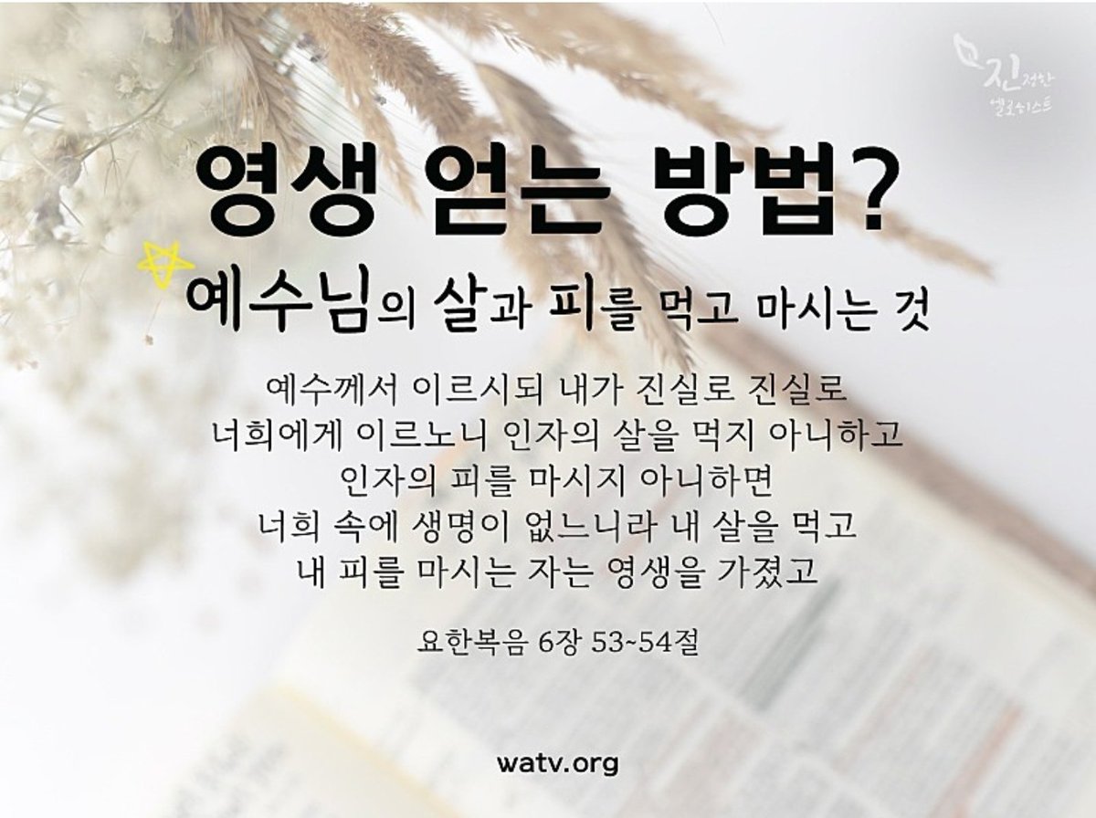 flutter_right's tweet image. #하나님의교회 
생명나무 열매의 실체,새언약 #유월절
하나님께서는 에덴동산 동산 중앙에는 선악과와 생명과를 두셨다. 선악과의 먹으면 죽는다는 특징이 있다. 생명과의 특징은 먹으면 영생한다. 그러나 아담과 하와를는 선악과를 먹고 범죄하였다. 아담과 하와가 살수 있는 방법은 무엇일까?
