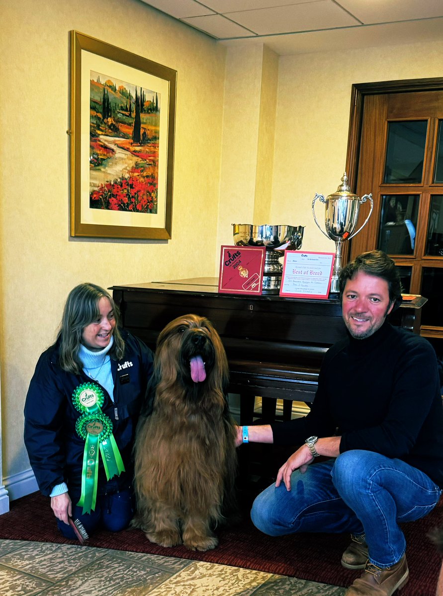 Congratulations to our regular guest for Crufts, who won Best of Breed! 🐾🐶🦴 Don’t forget to book your accommodation with us for next year, by using the promotion code LOYALTY at Ardenhotel.co.uk @Crufts #crufts #NEC @thenec #Briard