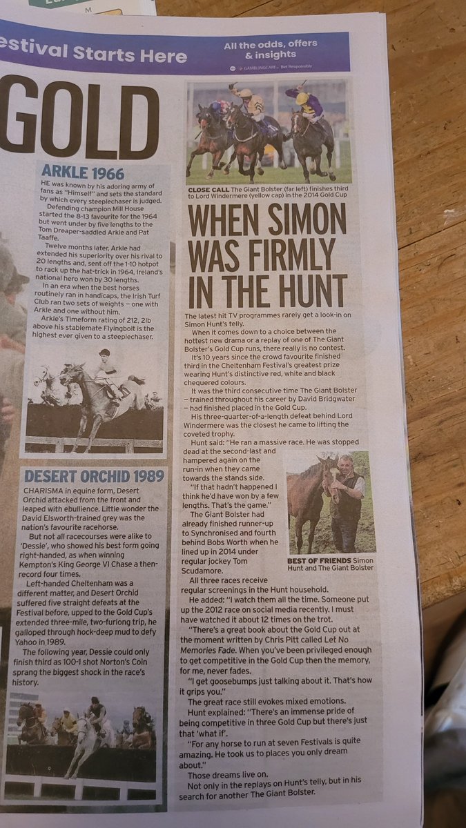 Nice to see @shunty8red and the people's hero, The Giant Bolster, making an appearance in the Star's Cheltenham pull-out. The king getting the praise he deserves 👏