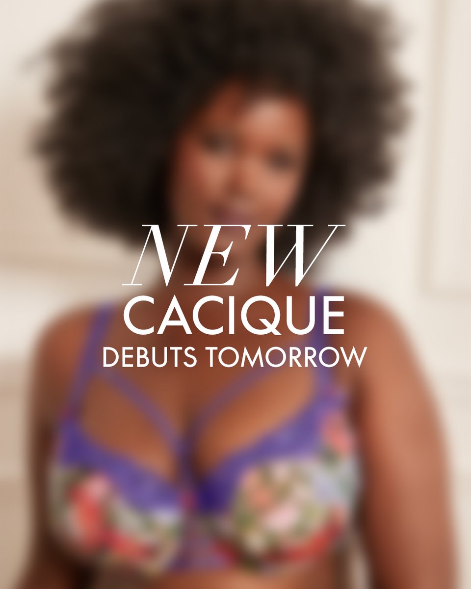 Lane Bryant tweet media