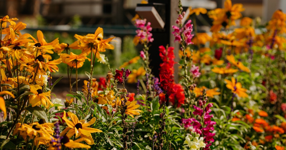 Today's the day to spring forward! Don't forget to set your clocks forward one hour for Daylight Saving Time! 

While you're at it, take a moment to test your smoke alarms, and change their batteries. Let's welcome the change with safety in mind!