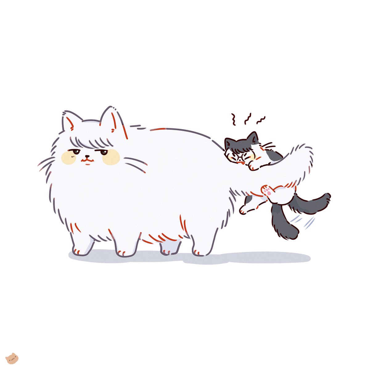 cookie_miaoo's tweet photo. been thinking about Shomei and Canyon https://t.co/lCkWqnd2UW