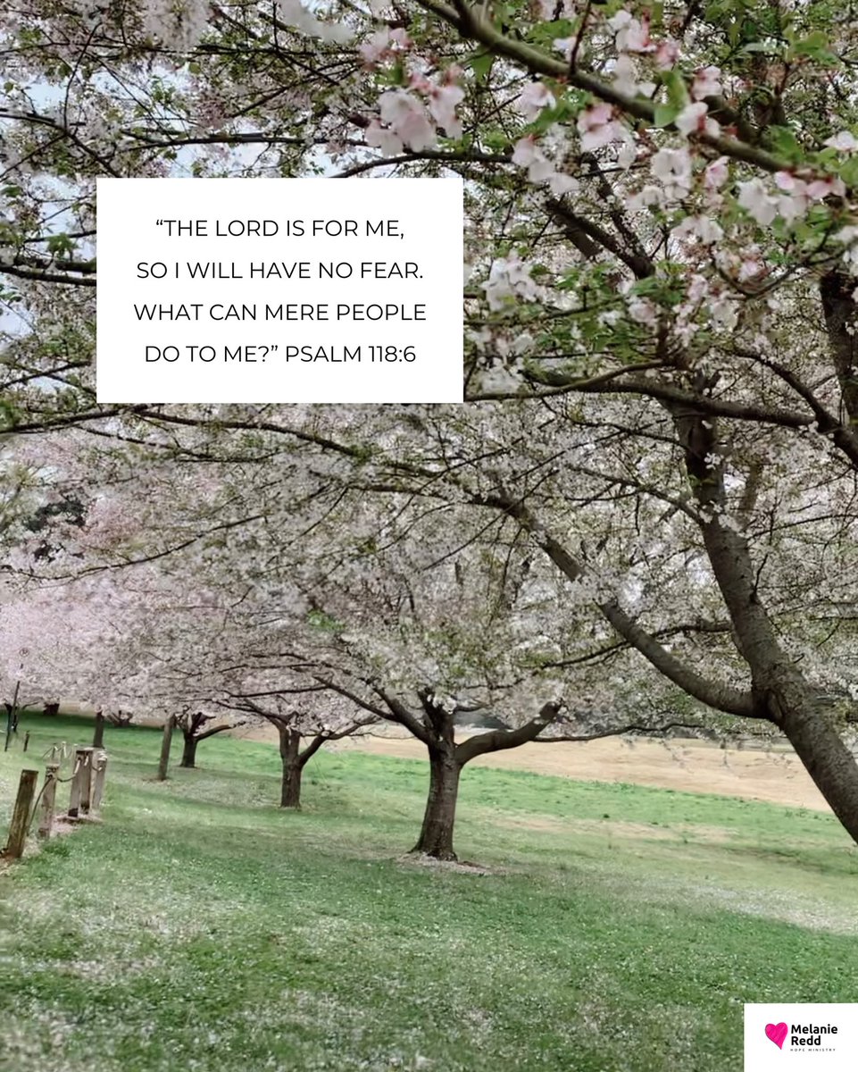 MelanieRedd's tweet photo. 🌸 As you head into a new week, remember this…
GOD IS FOR YOU!!
“The Lord is for me, so I will have no fear. What can mere people do to me?” Psalm 118:6, NLT
#hopeministry #hopeministries #melanieredd #godisforus #godisforme #godisforyou #psalm118 #psalm1186 https://t.co/xaqV0XWUVC