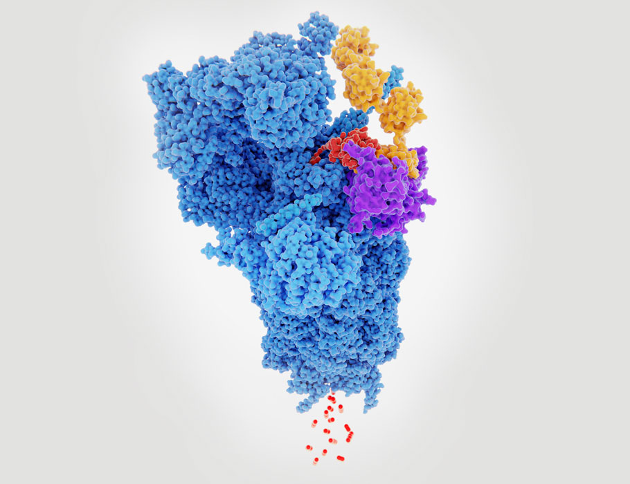 Science Signaling tweet media