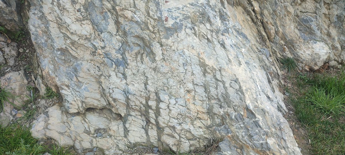 Anadoluhisarı duvarlarının üstüne oturduğu Devoniyen yaşlı (420-360 milyon yıllık) yumrulu kireç taşları çok havalı görünmese de harika bir jeosit adayı. Umarım hırpalanmadan korunabilir gelecek nesillere #jeolojikmiras #jeosit #geosite  #geoheritage