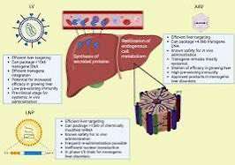 AECOMySociedad tweet picture